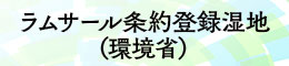ラムサール条約登録湿地（環境省）