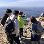 出雲日御碕 予約ガイドのご案内🌟